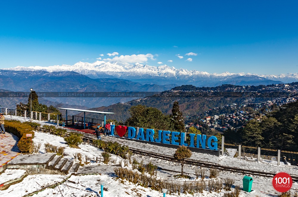 Hills on Rails: The Iconic Darjeeling Toy Train Ride