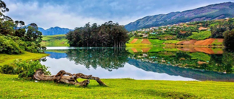 Whispering Hills: Ooty & Coorg for Two