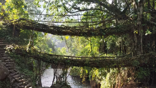 Shillong’s Scenic & Hidden Gems