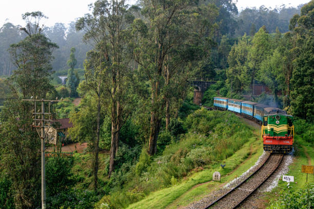 Whispers of the Nilgiris: A Regal Hill Escape