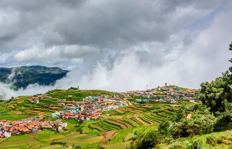 Whispers of the Nilgiris: Ooty Escape from Bengaluru